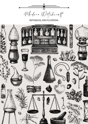 Antique apothecary frame. Hand-drawn vector illustrations. Alchemy sketches. Bohemian style witchcraft background. Vintage card invitation design. NOT AI generated